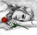 la rose rouge